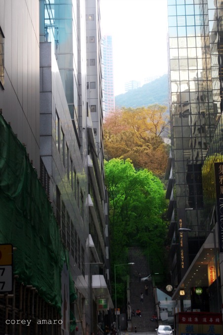 Green between the buildings