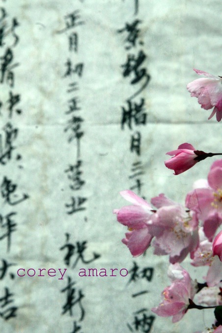 Blossoms pink china