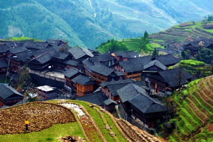 Longsheng terraced rice fields Longsheng terraced rice fields