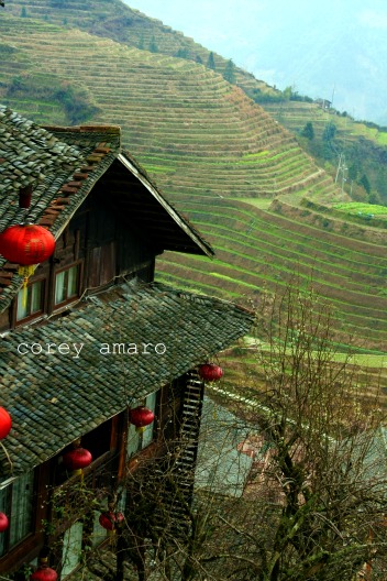 Houses longsheng Houses longsheng