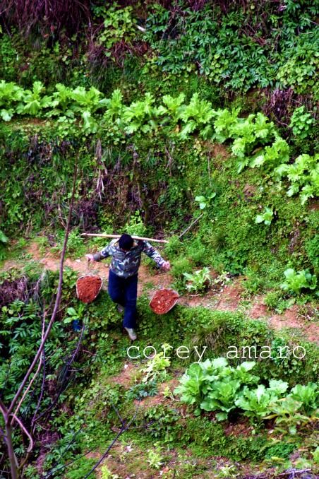Working longsheng Working longsheng