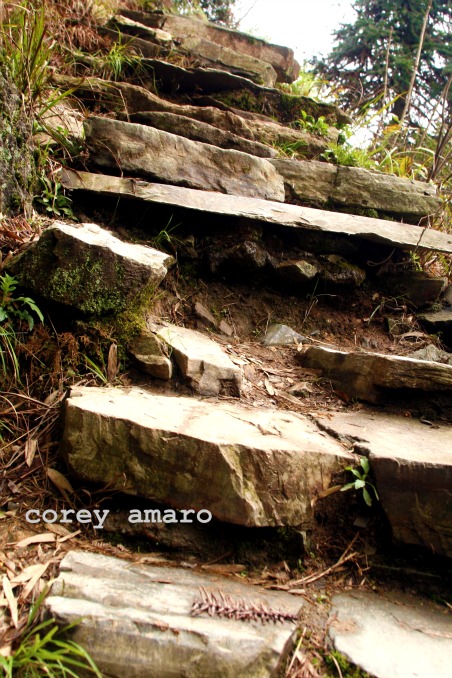 Steps on the path longsheng Steps on the path longsheng