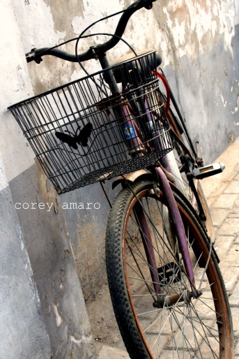 Butter fly basket bicycle china Butter fly basket bicycle china