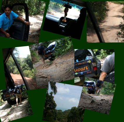 Path to treehouse Path to treehouse