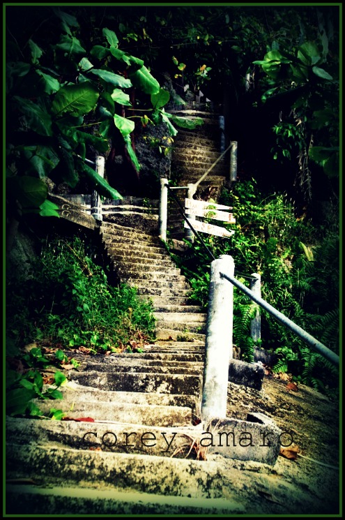 Plaa's stairs 