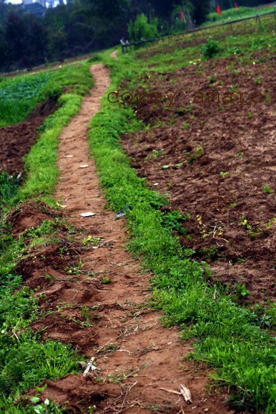Dirt path china