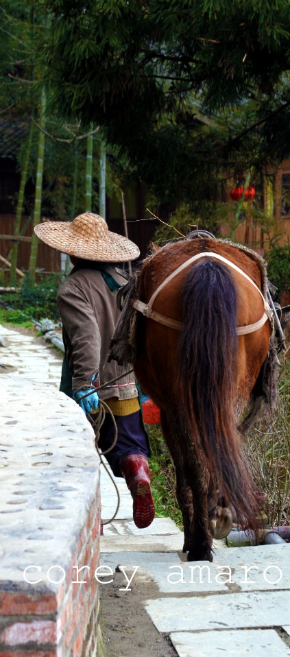 Path longsheng Path longsheng