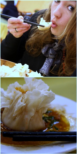 Beijing dumplings delicious Beijing dumplings delicious