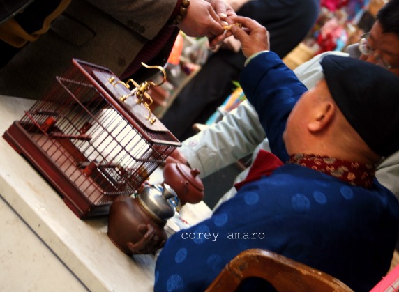 Insect and bird market Insect and bird market shanghai