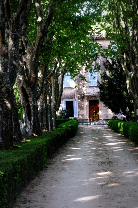Tree lined