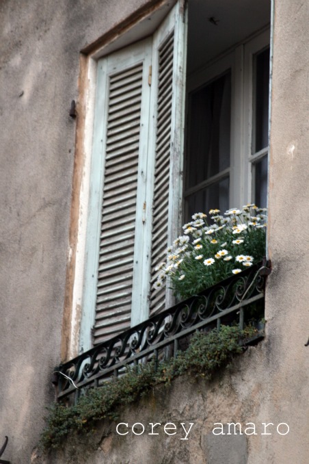 Flowers on the window sill