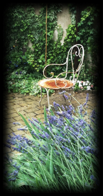 Lavender Rain Lavender Rain