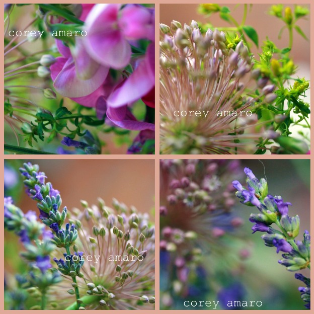 Wildflowers