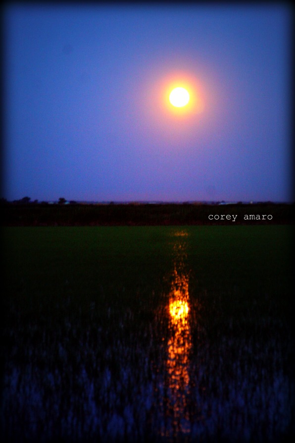 Full moon