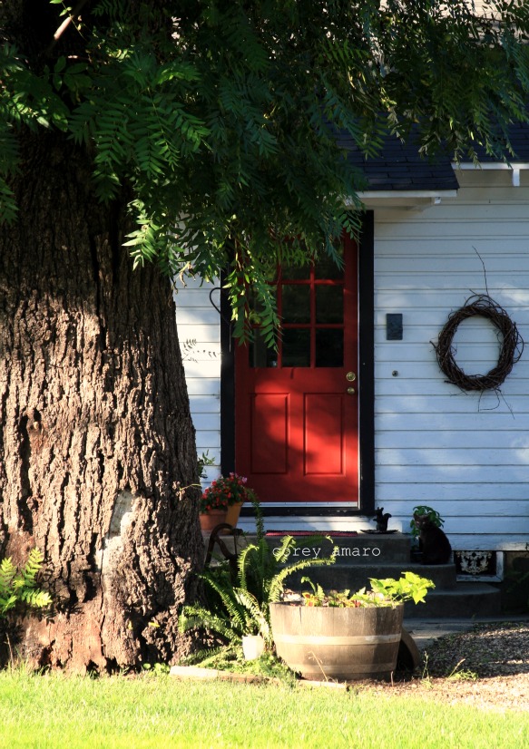 Red door judy