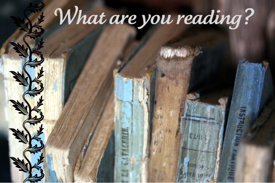 Old books covered in blue