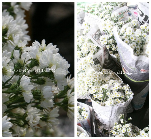Little white flowers