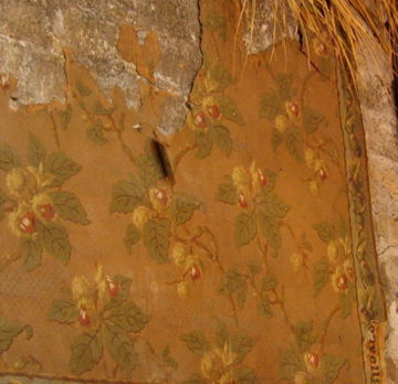 Peeling wallpaper