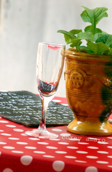 Taste provence