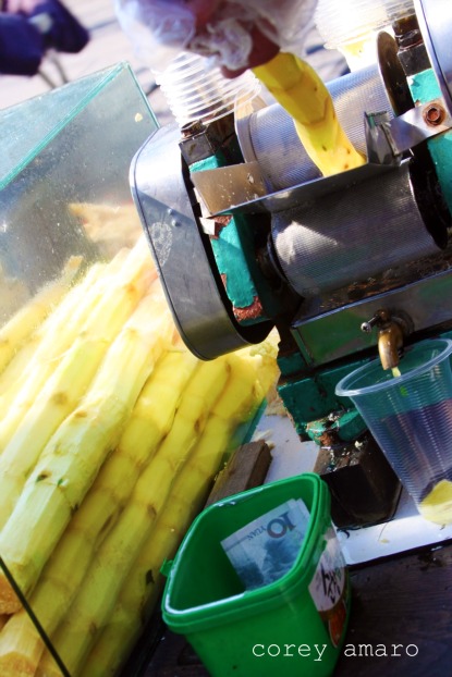 Jack fruit juice Jack fruit juice