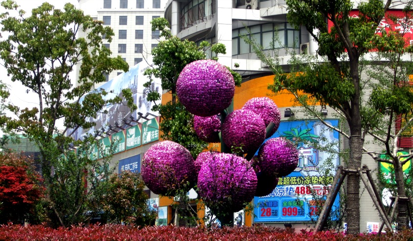 Pom pom rose decor Pom pom rose decor