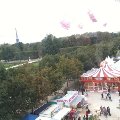 Views from the Ferris Wheel in Paris