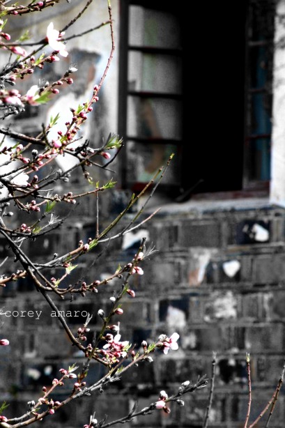 Breathing spring