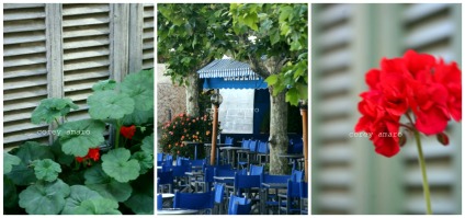 Provence images
