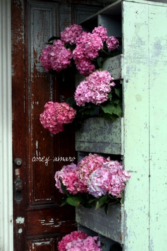 Flowers in a box