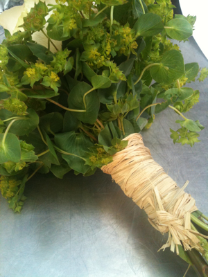 On our way to..... On our way to.....