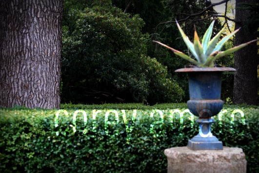 French urn in the garden
