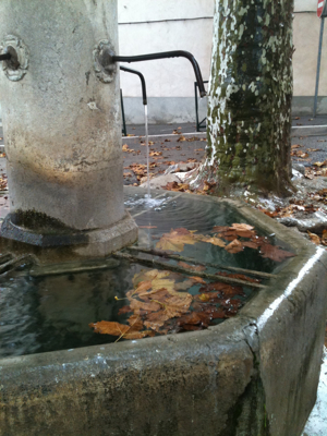 Vox Populi Vox Populi