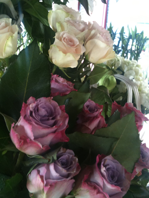 Every Hair in Place Every Hair in Place