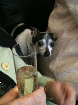Champagne Toast