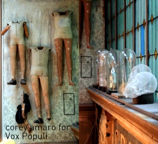 Vox populi showroom