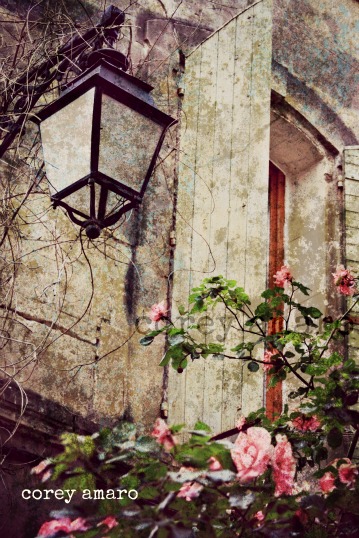 Window view Window view