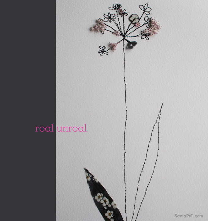 Sania-pell-floral-experiment-3 Sania-pell-floral-experiment-3