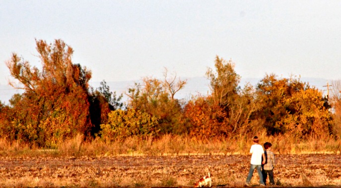 Boys and a dog Boys and a dog