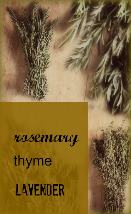 Rosemary thyme and lavender