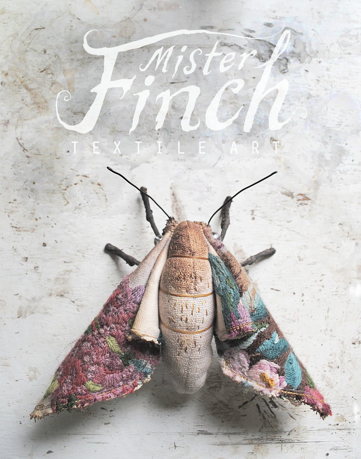 Mister finch Mister finch