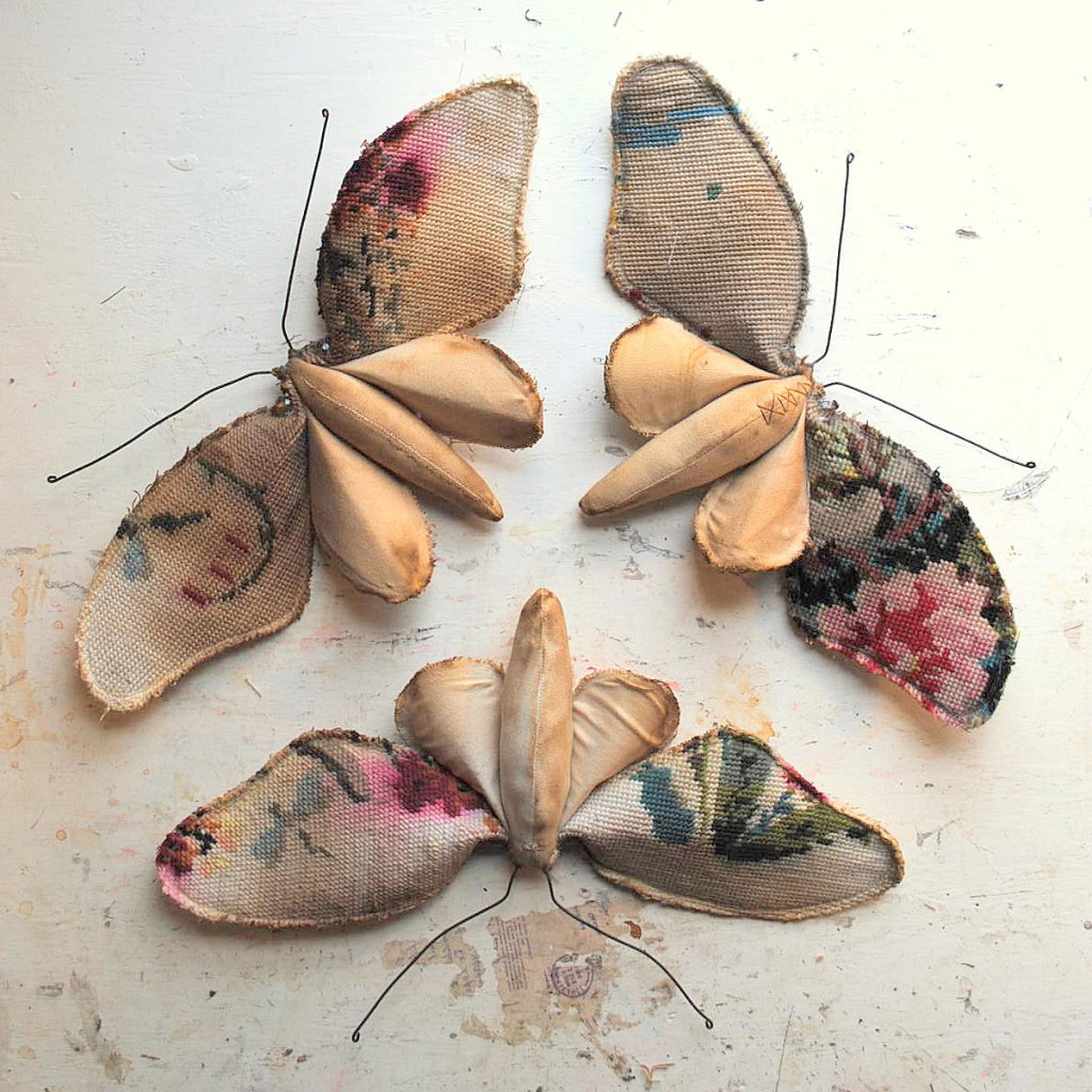 Mr finch moths Mr finch moths