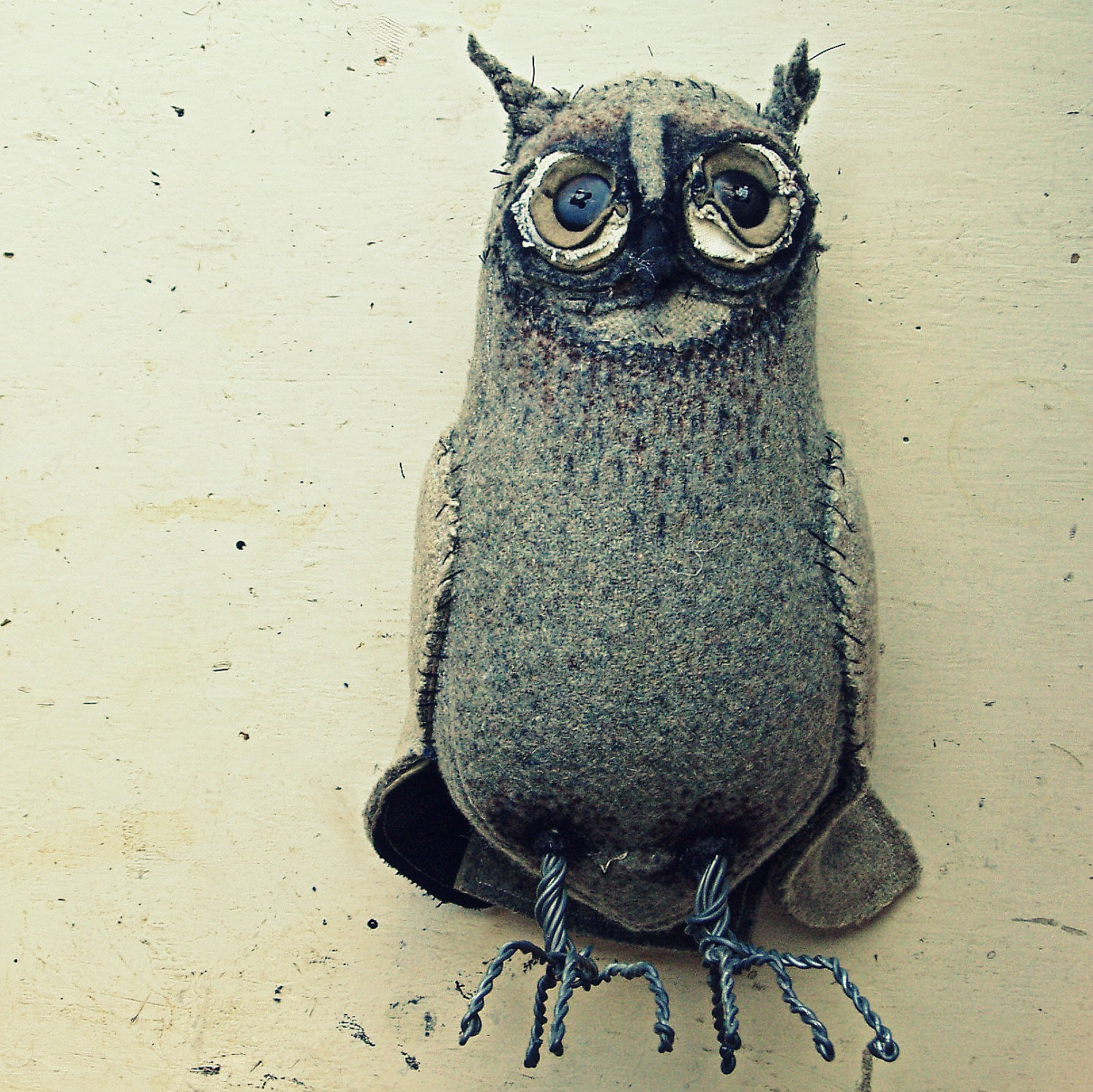Mr finch owl Mr finch owl