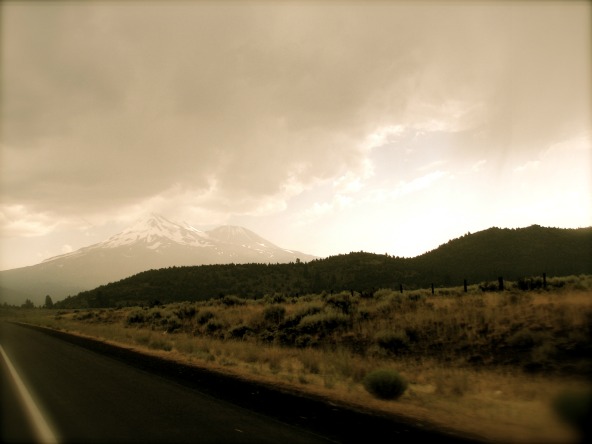 Shasta