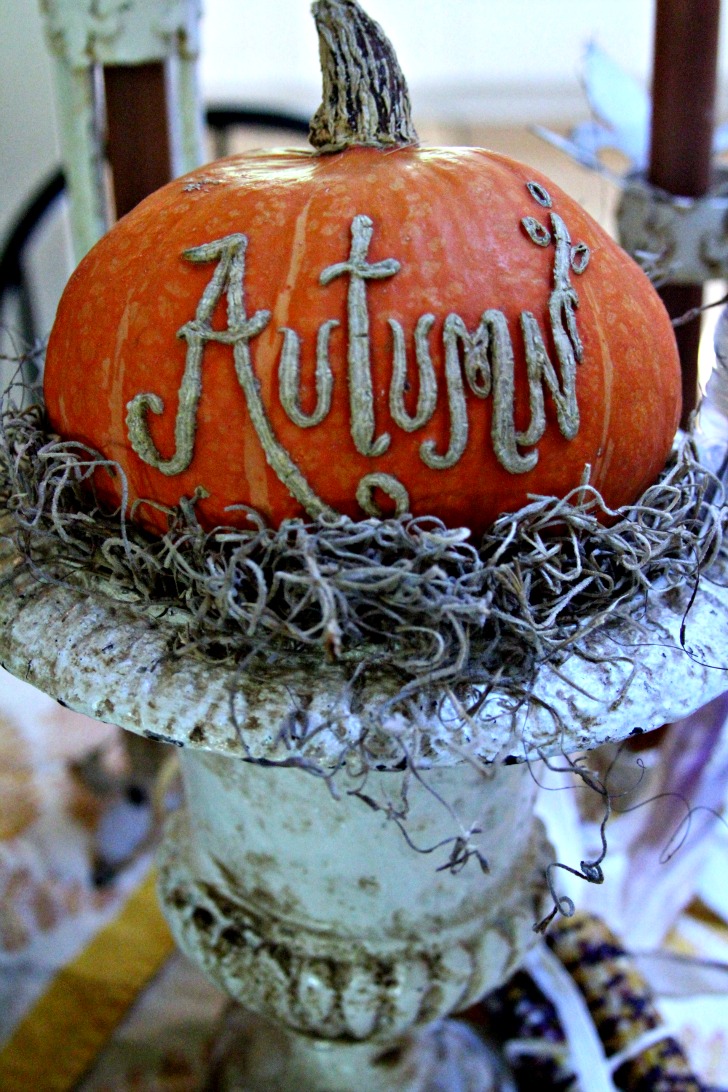 Autumn pumpkin JPG