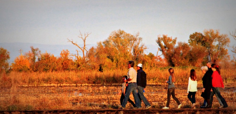 Walk about Walk about