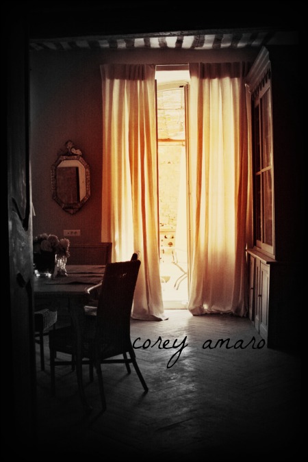 Antique Corey Amaro Sheer curtains