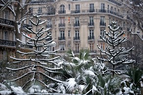 Photo of snow covered Paris, by Chelsea 