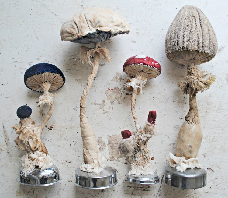 Toadstools mr finch Toadstools mr finch