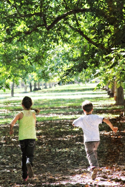 Running in the orchard