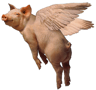 Pigs_fly_1